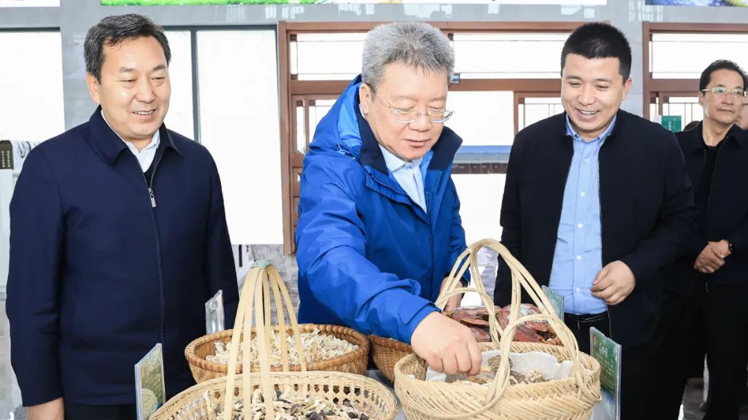乡村拉霸LaBa360会333.png